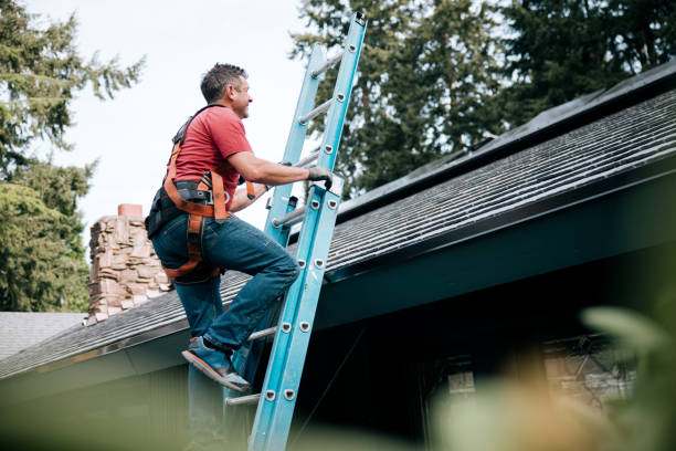 Best 4 Ply Roofing  in Shelby, MT