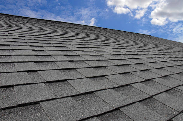 Best Roof Maintenance and Cleaning  in Shelby, MT