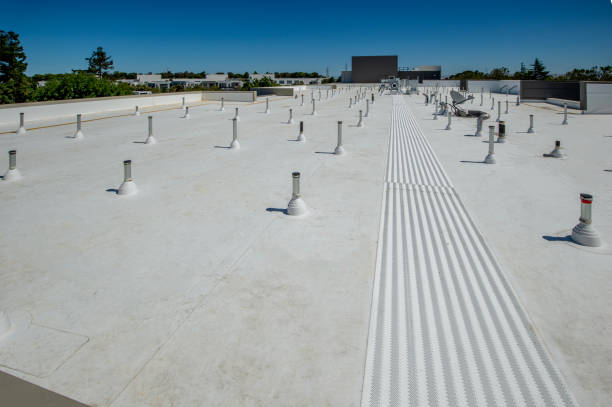 Best Roof Moss and Algae Removal  in Shelby, MT